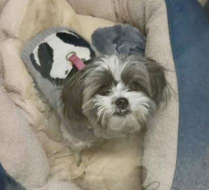 Maisy (with Charlie)