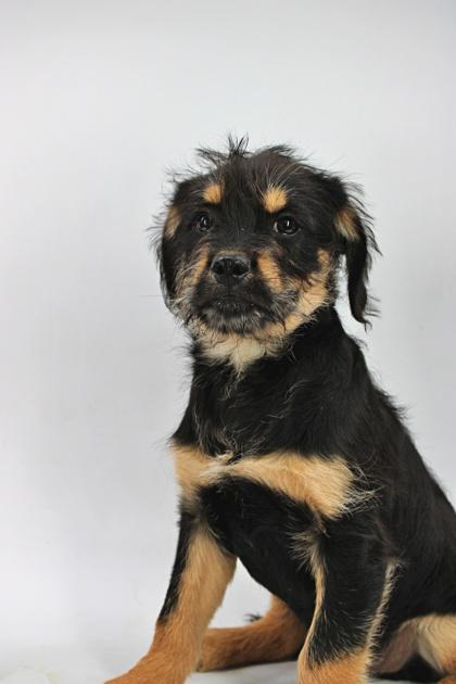 Daryl — thumbnail 2