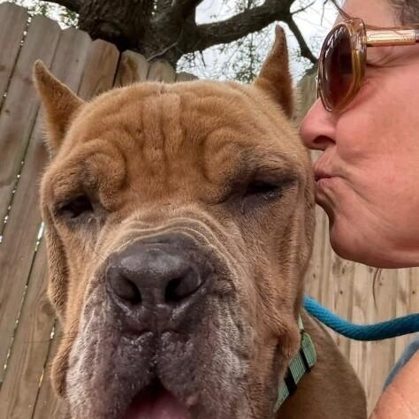 Rodney Roo has Heart Eyes for You