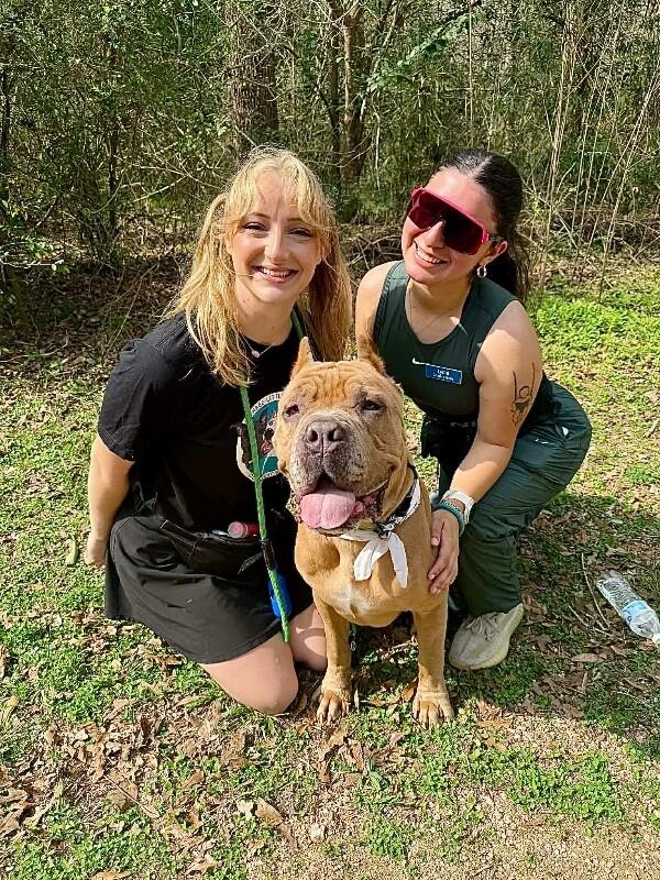 Rodney Roo has Heart Eyes for You — thumbnail 2