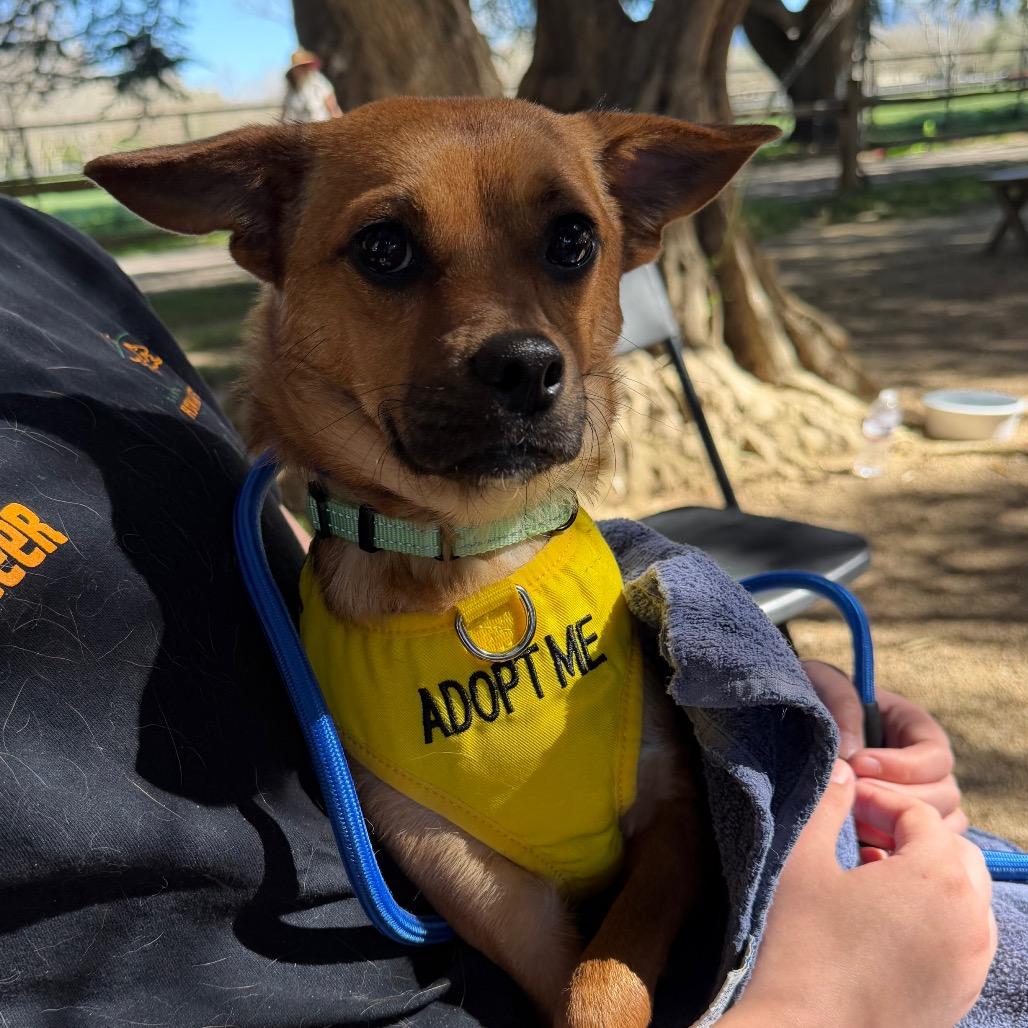 Busta Rhymes — thumbnail 2