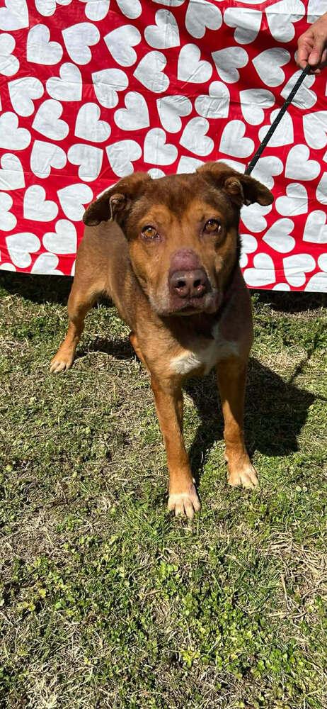 Billy — thumbnail 2