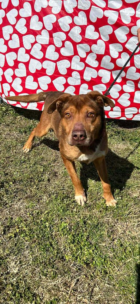 Billy — thumbnail 3