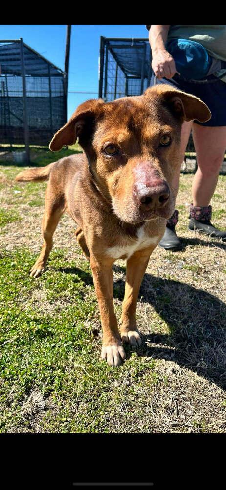 Billy — thumbnail 4