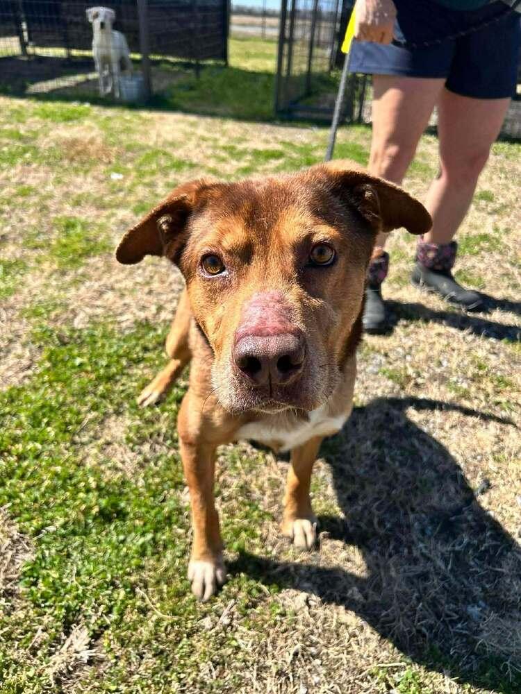 Billy — thumbnail 6