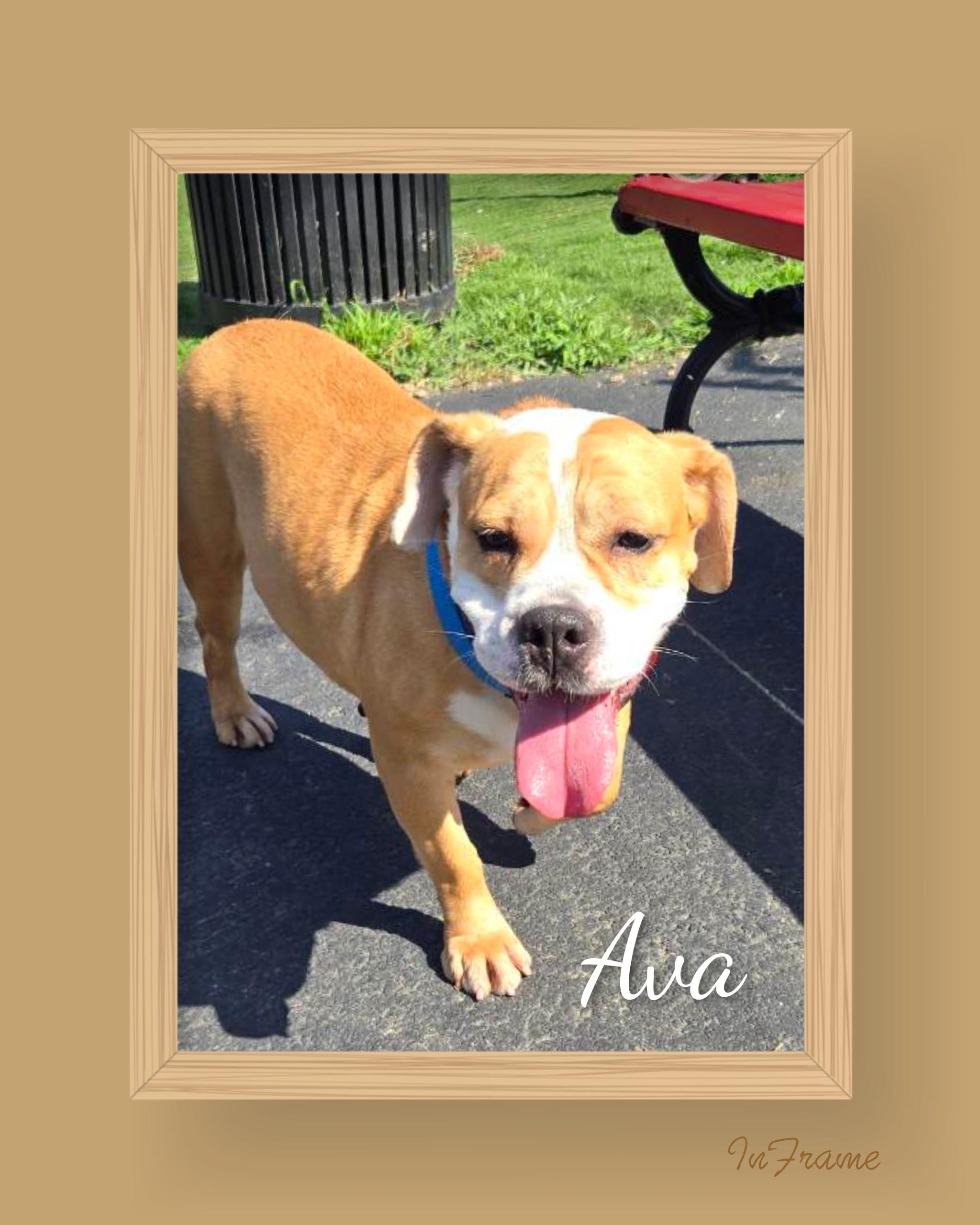 Ava