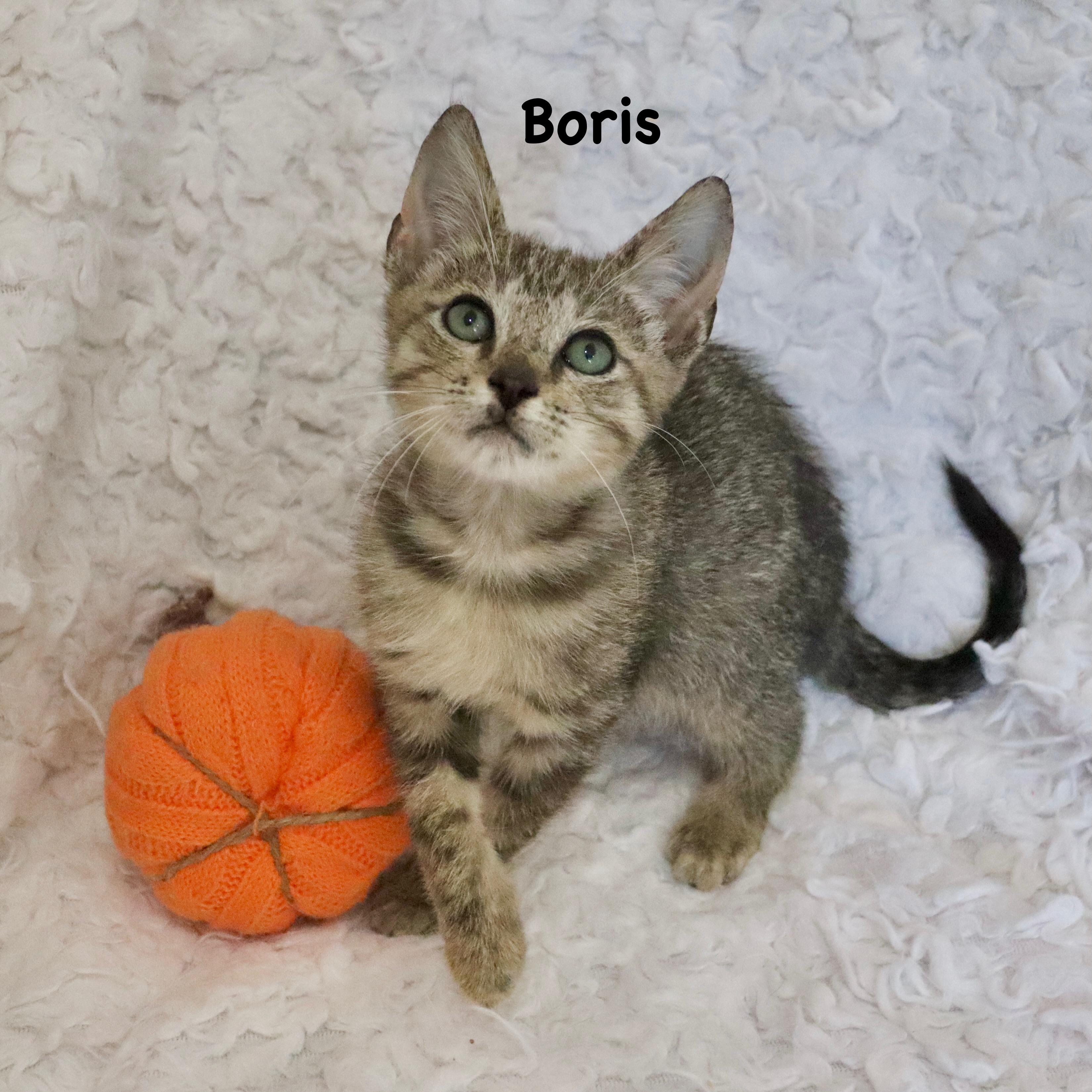 Boris