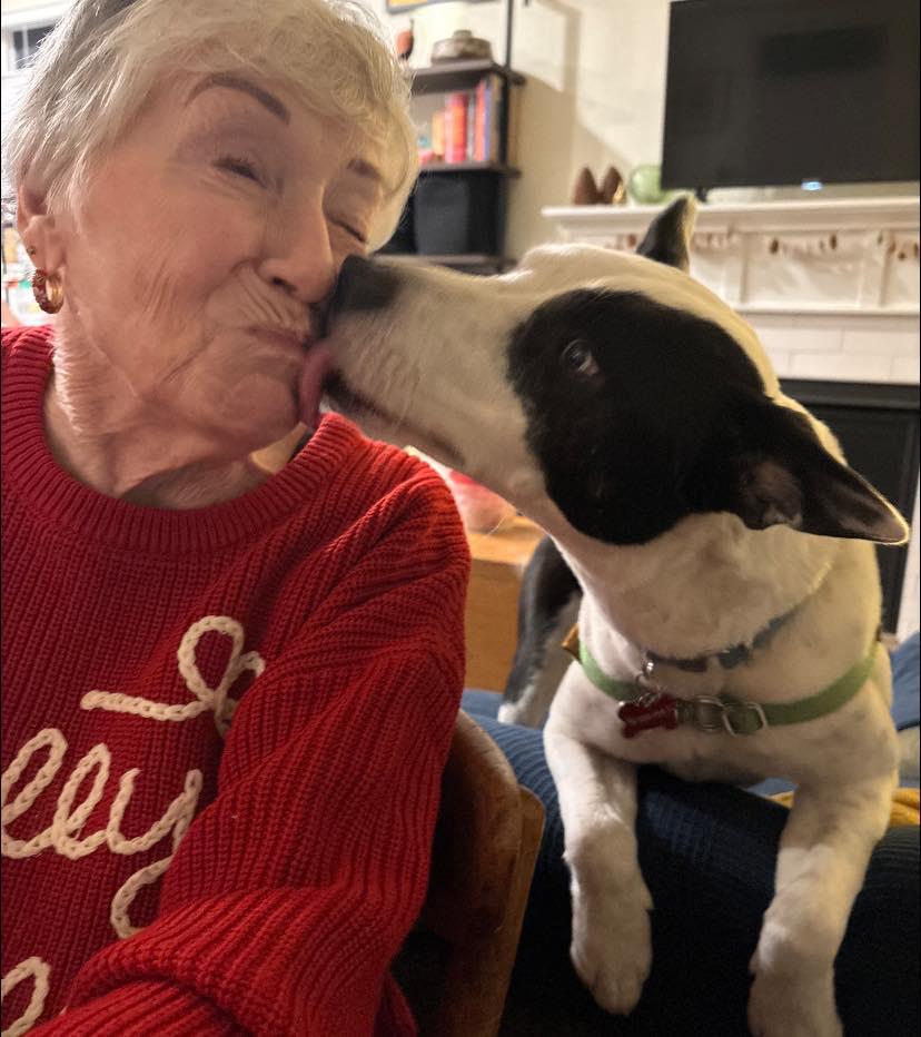 Enlarge Echo, a Adoptable mixed breed in Portland, OR image 4/6