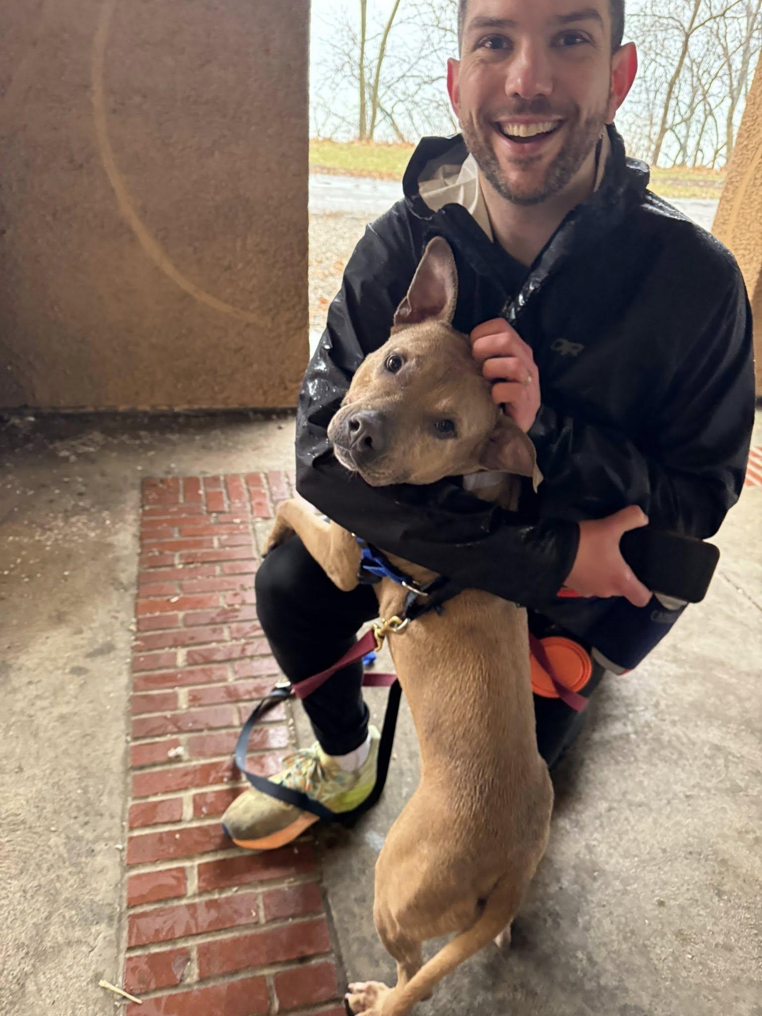 Enlarge Champagne Diamond, a Adoptable mixed breed in Cleveland, OH image 6/6