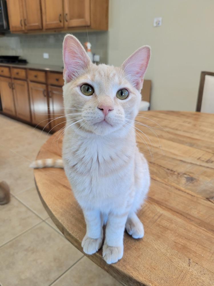 Bennett — thumbnail 2