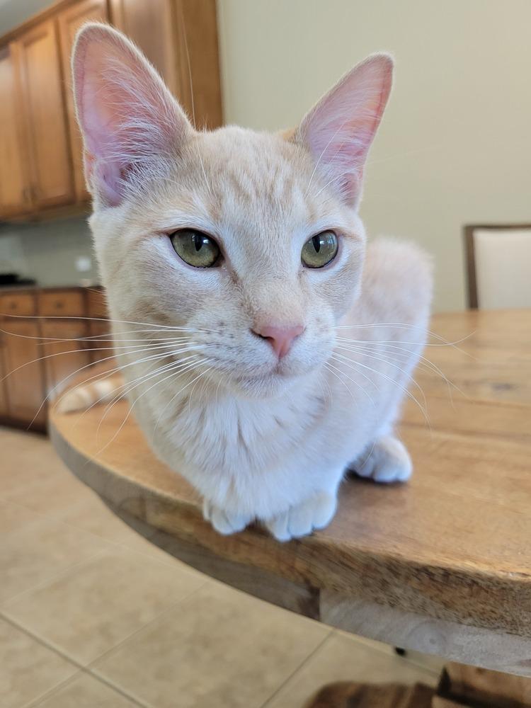 Bennett — thumbnail 3