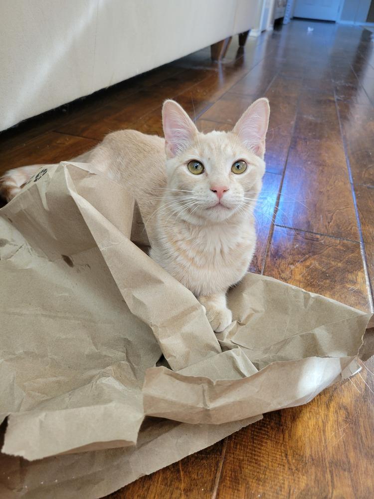 Bennett — thumbnail 5