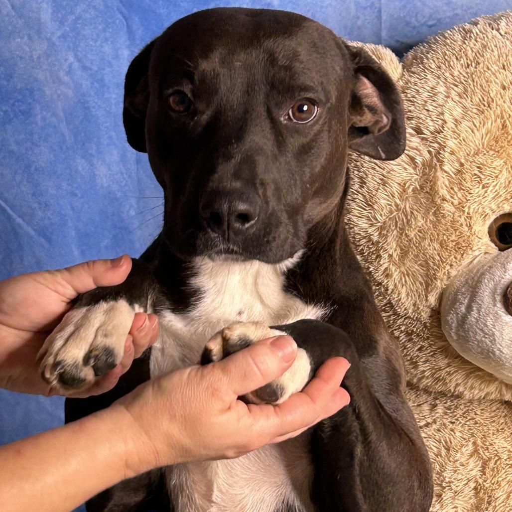 Root Beer — thumbnail 2