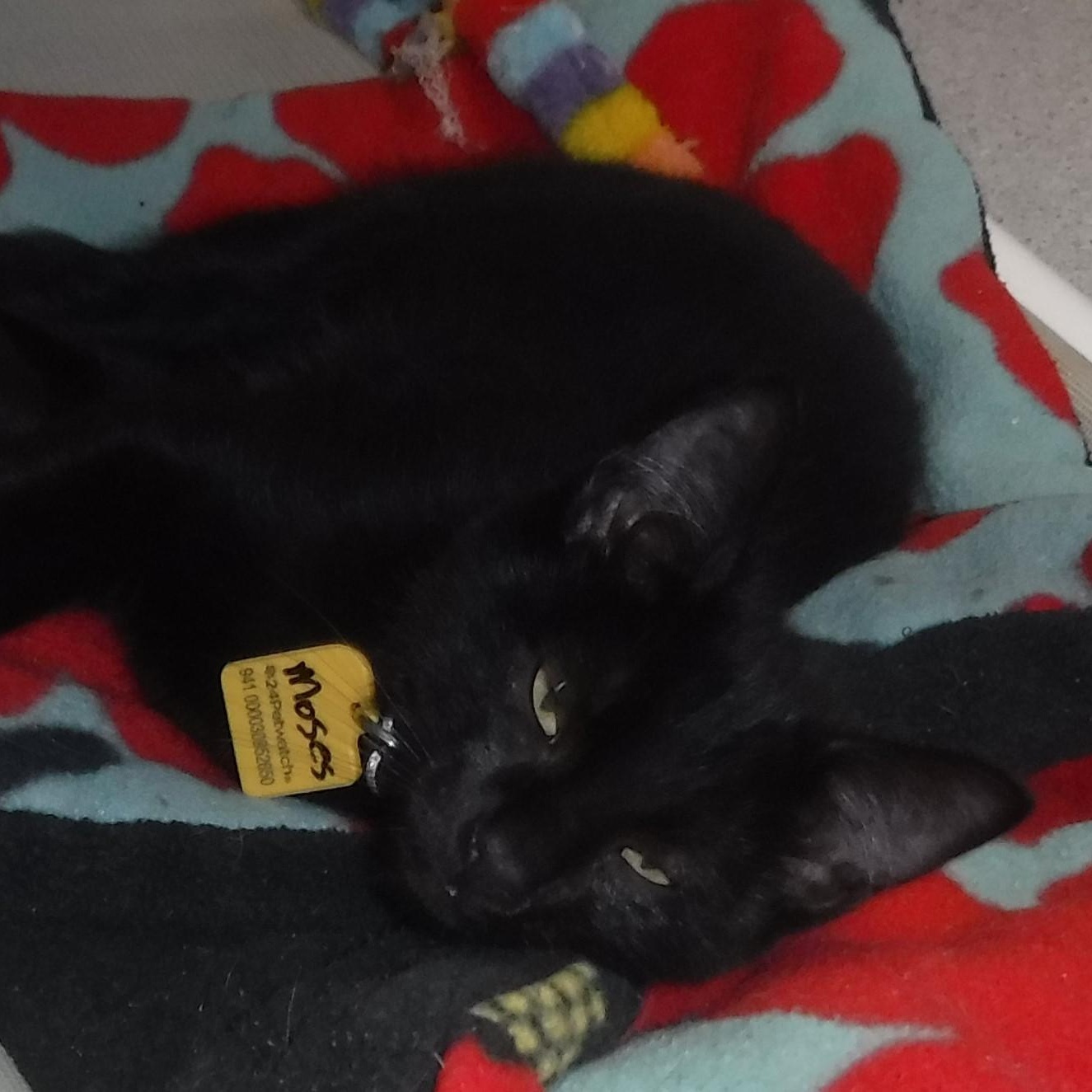 Moses  Great Personality thumbnail 3