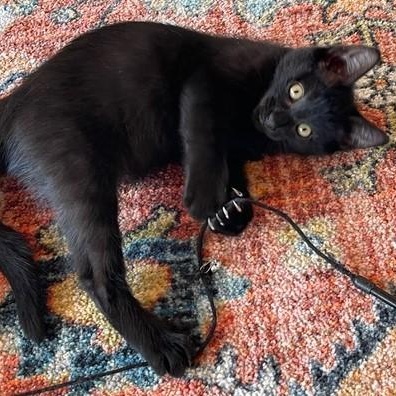 Moses  Great Personality thumbnail 5