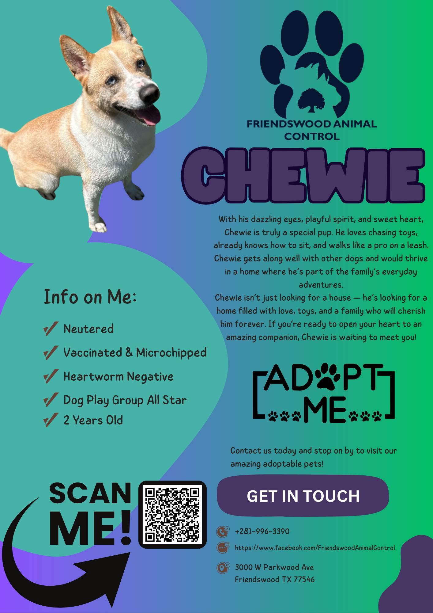 Chewie
