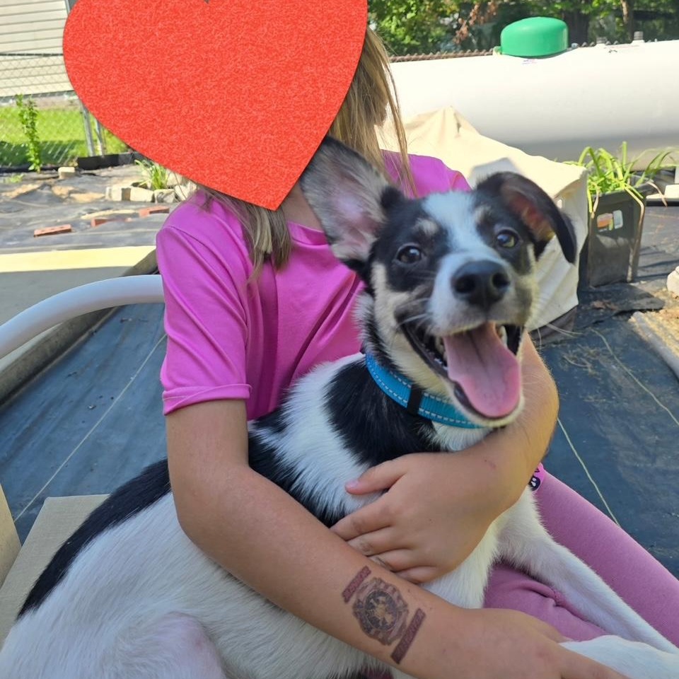 Frasier photo 1