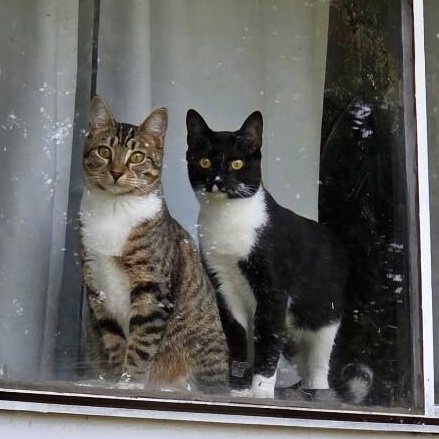 Wednesday Wonderful — thumbnail 2