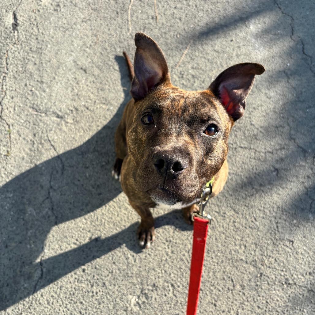 Reina — thumbnail 2