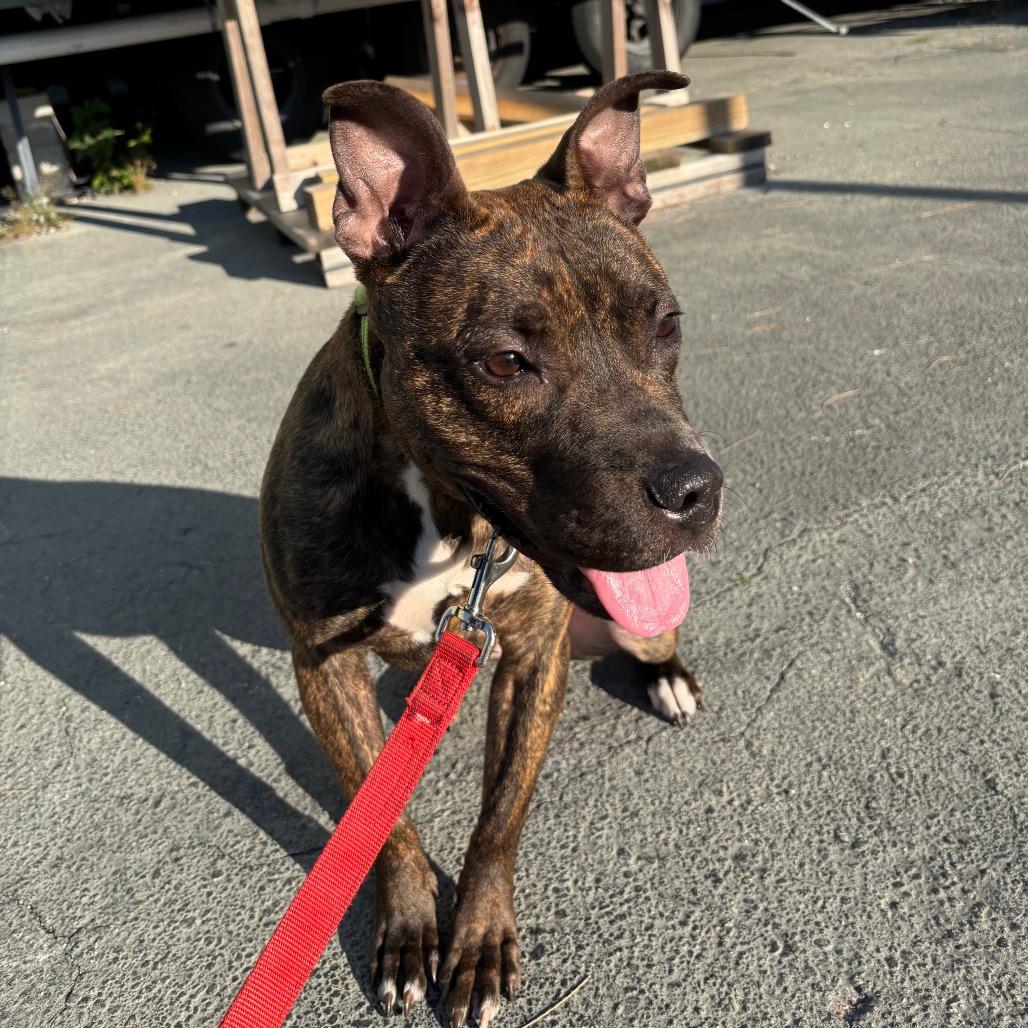 Reina — thumbnail 5