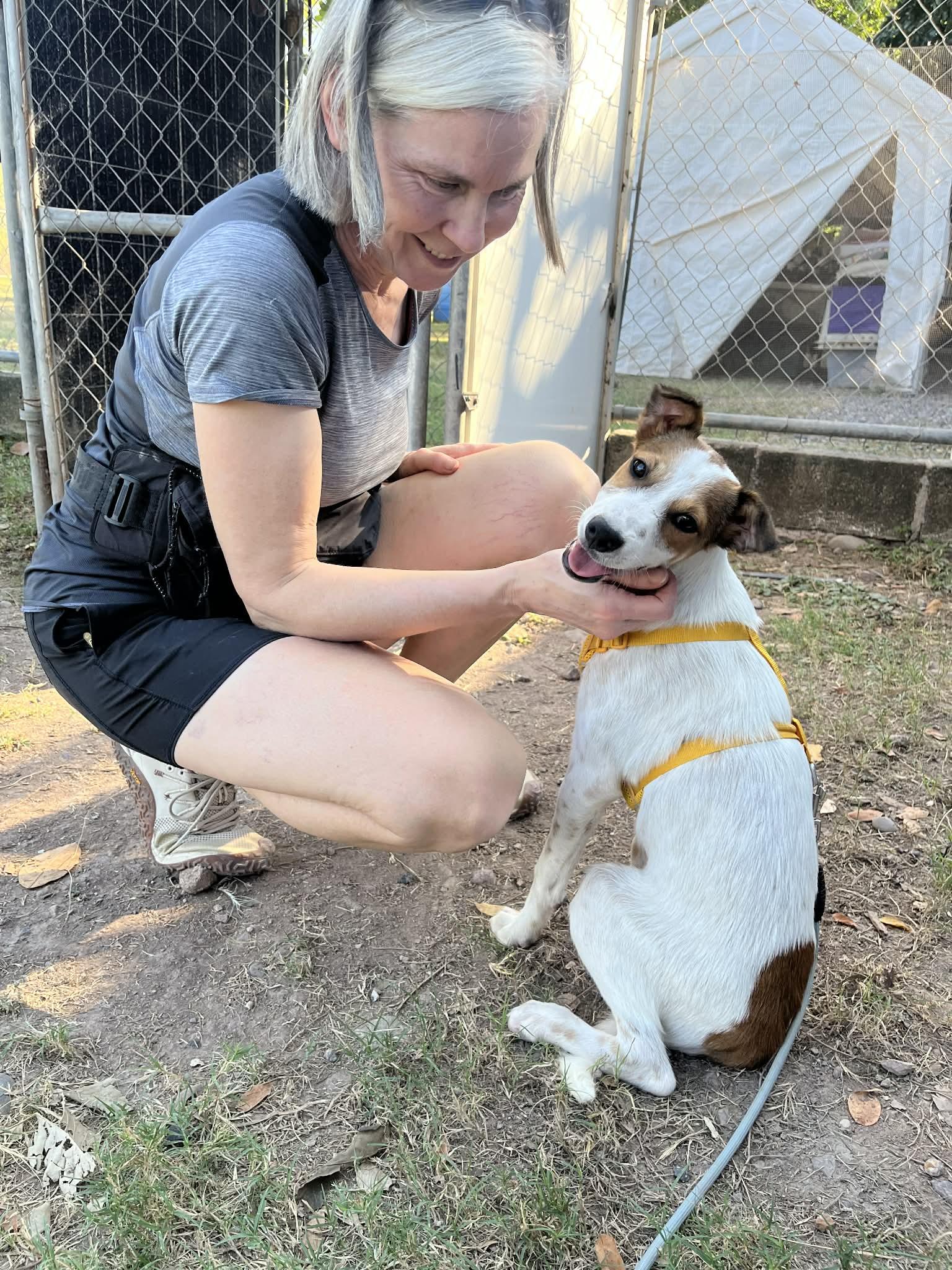 Enlarge Pimienta, a Adoptable mixed breed in North Vancouver, BC image 2/6
