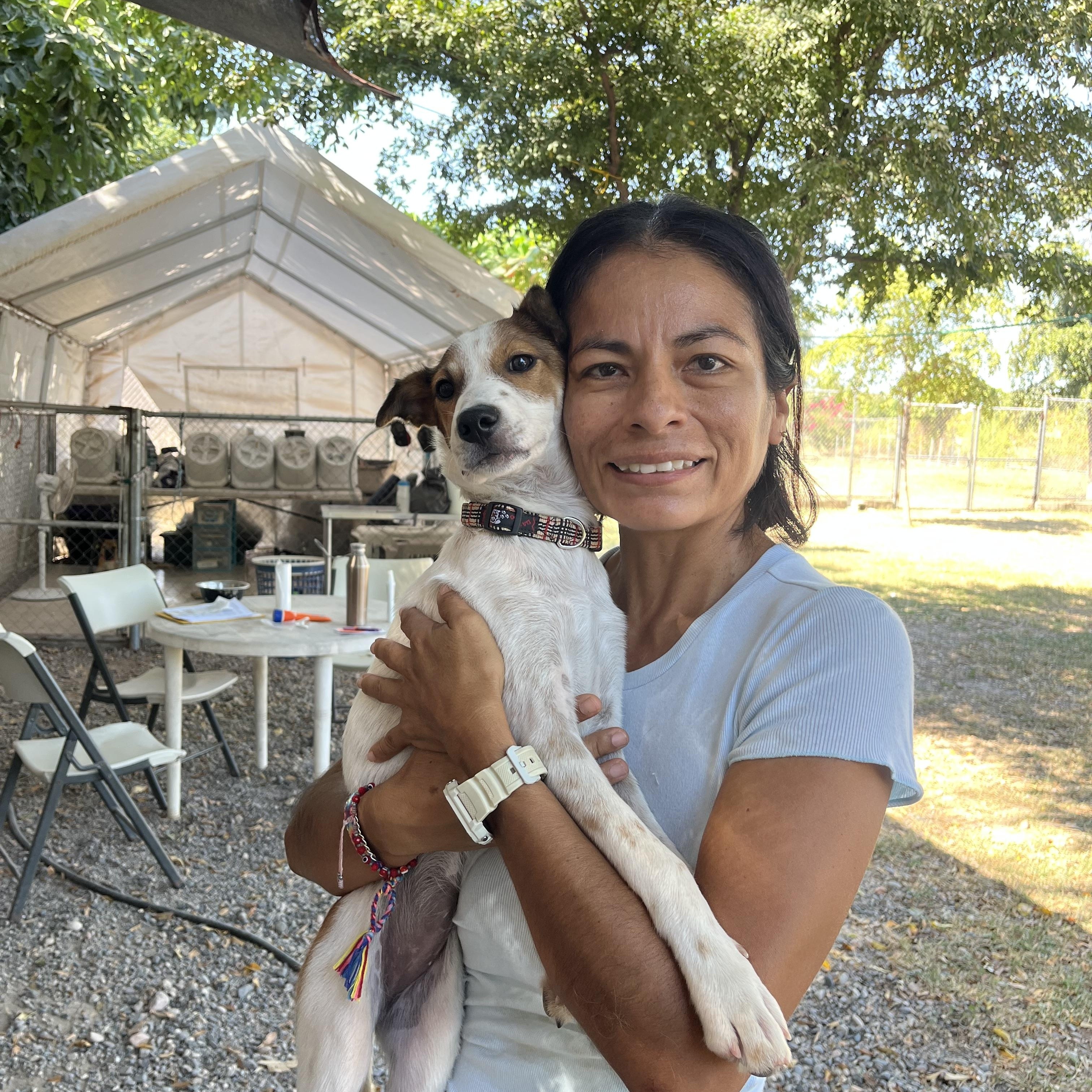 Enlarge Pimienta, a Adoptable mixed breed in North Vancouver, BC image 3/6