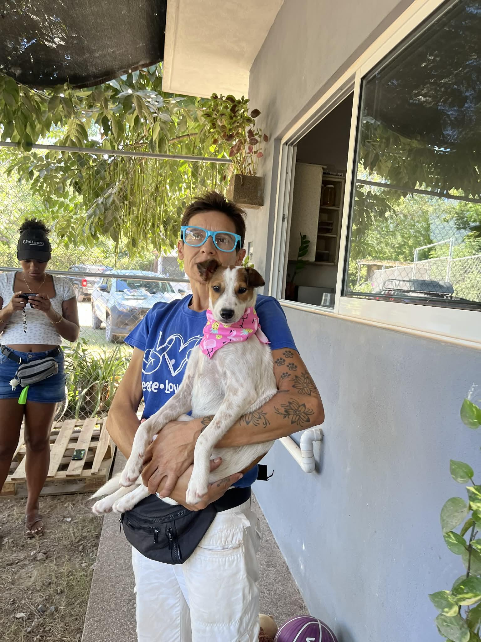 Enlarge Pimienta, a Adoptable mixed breed in North Vancouver, BC image 6/6