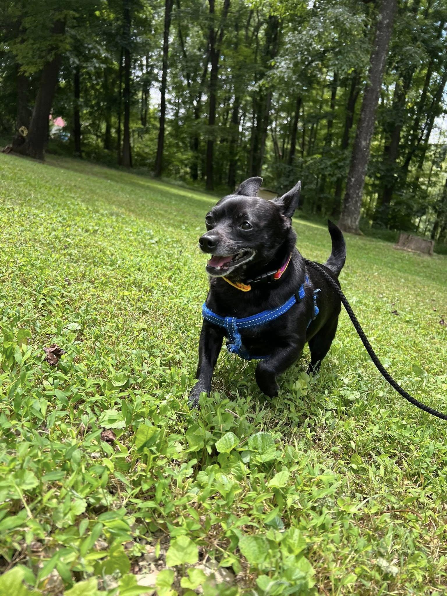 Grady photo 3