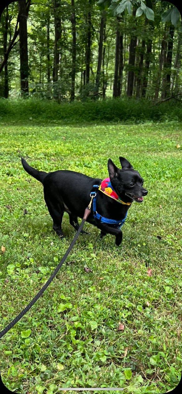Grady photo 2