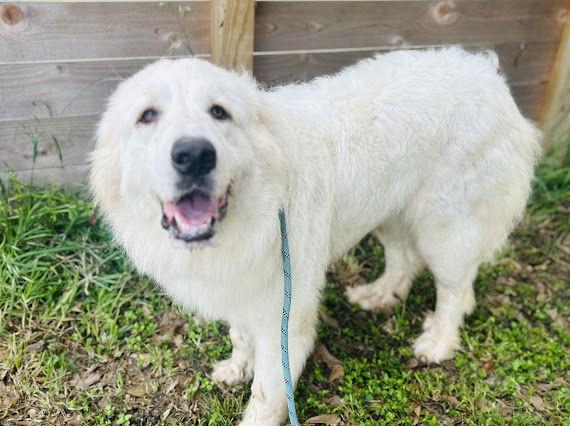 Terrie — thumbnail 4