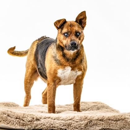 Tony — thumbnail 2