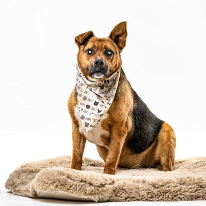 Tony — thumbnail 4