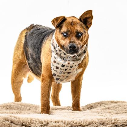 Tony — thumbnail 5