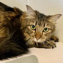 Maggie photo 6