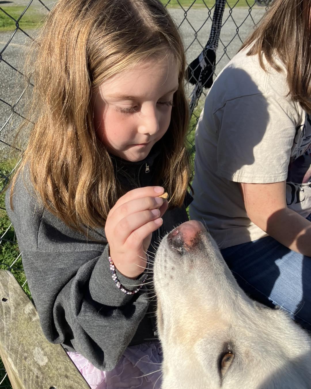 Jax, a Adoptable mixed breed in Crescent city, CA image 5/6