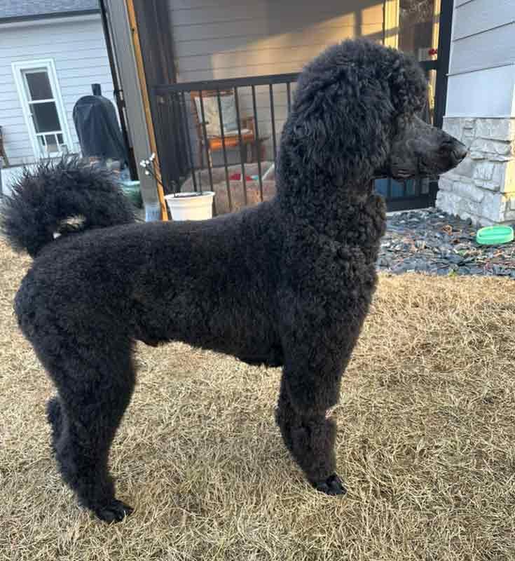 Hayes — thumbnail 3