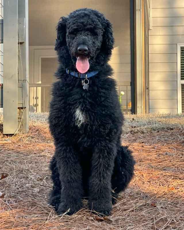 Hayes — thumbnail 4