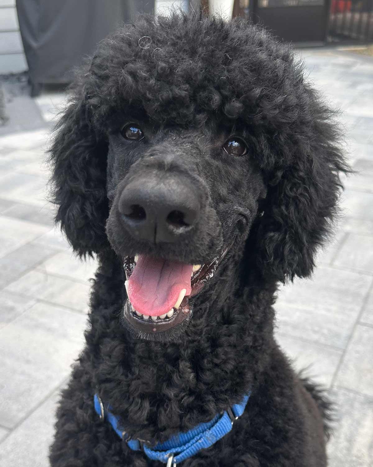 Hayes — thumbnail 5