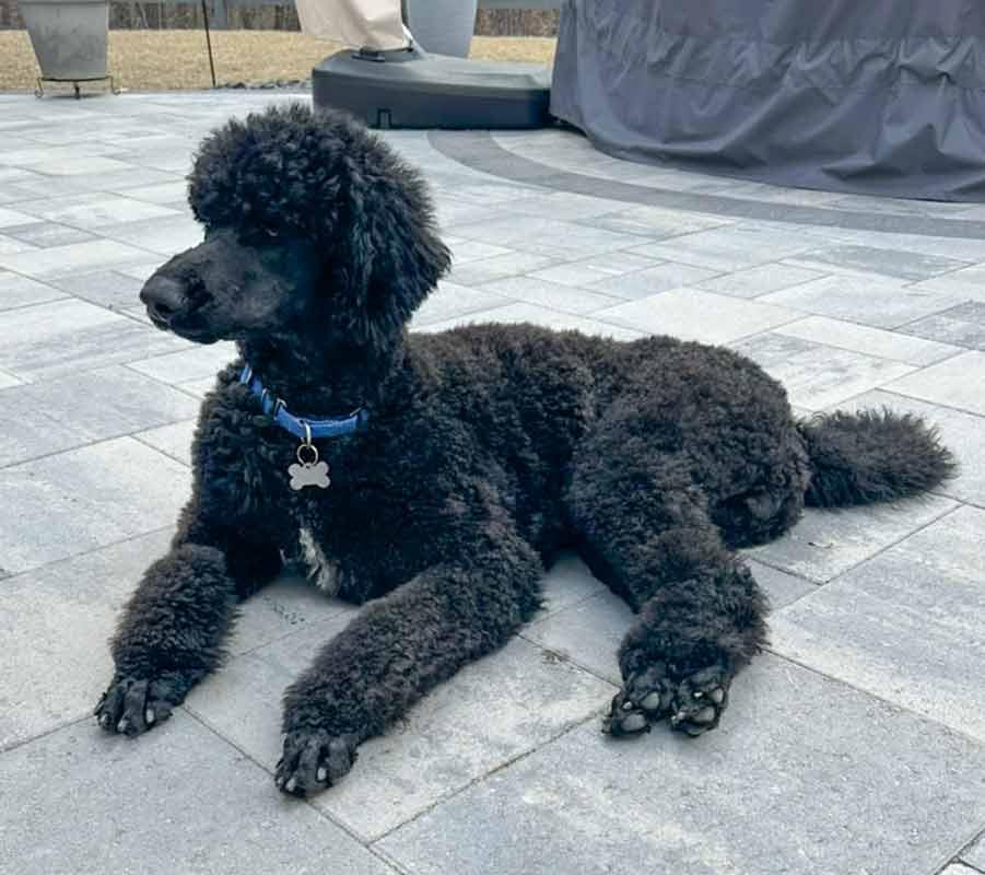 Hayes — thumbnail 6