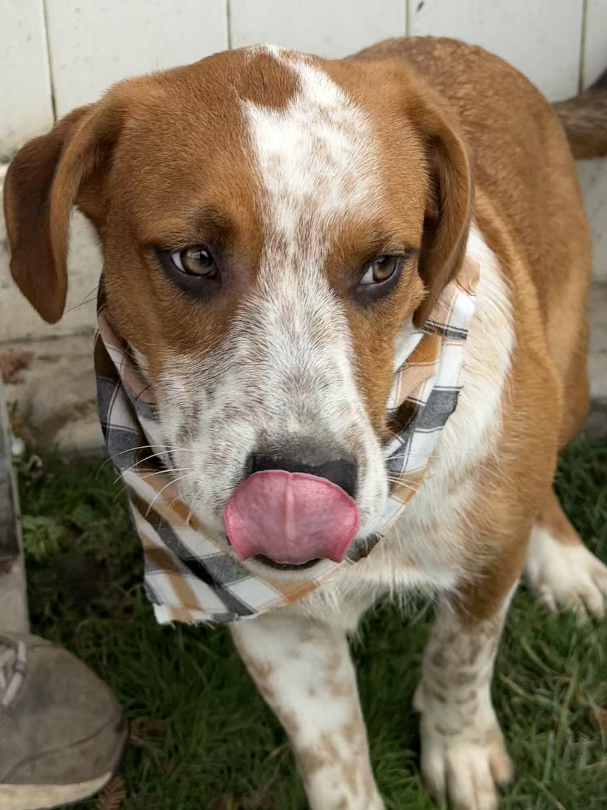 Russ — thumbnail 2