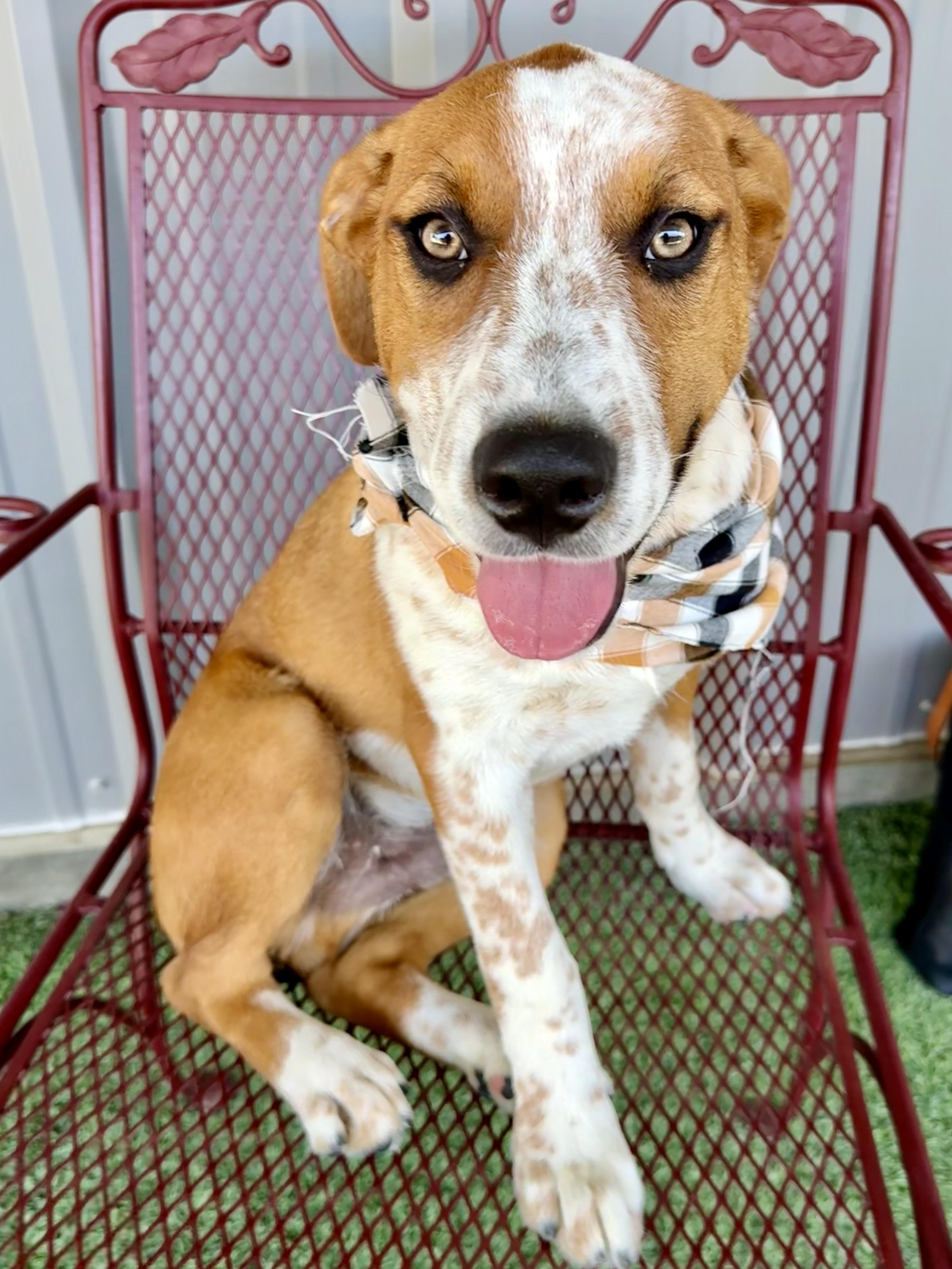 Russ — thumbnail 3