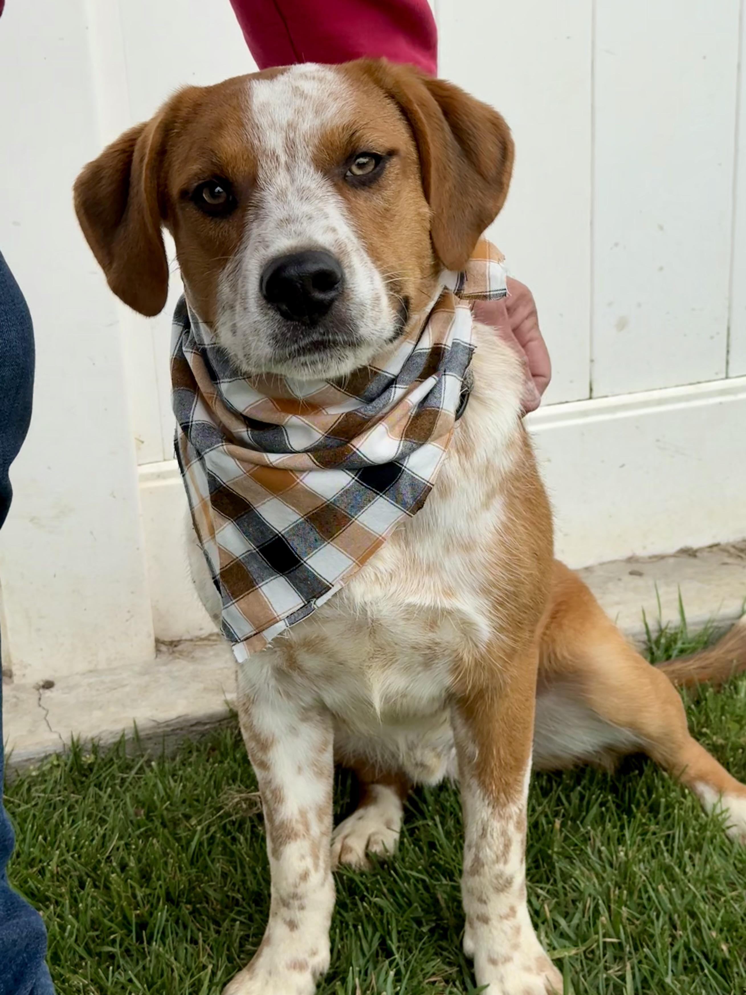 Russ — thumbnail 4