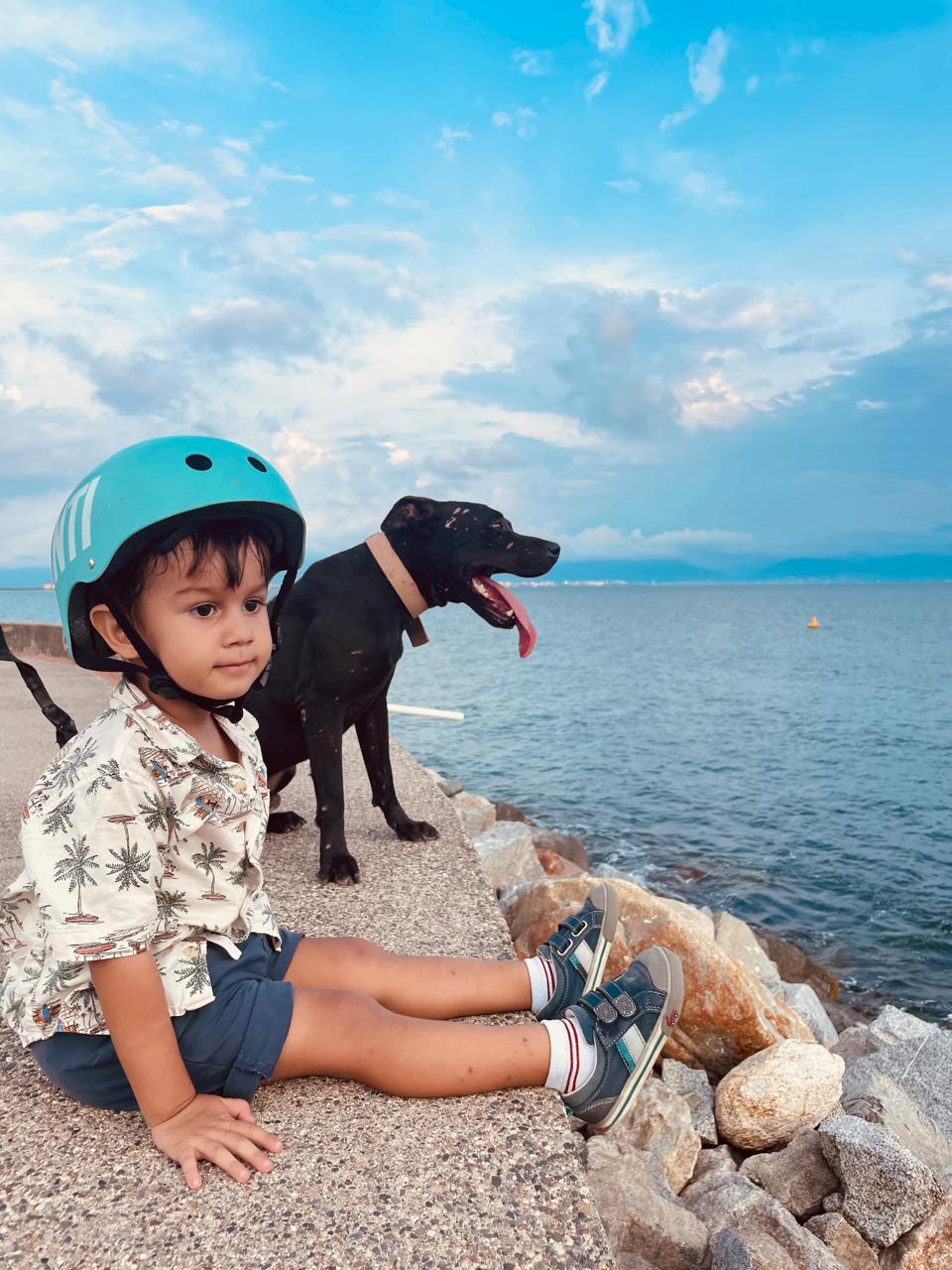 Enlarge Byron, a Adoptable mixed breed in Vancouver, BC image 1/6