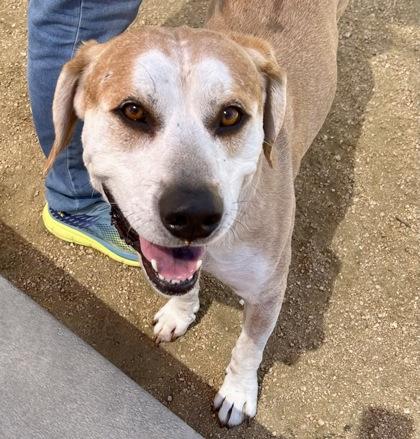 Sonny — thumbnail 2