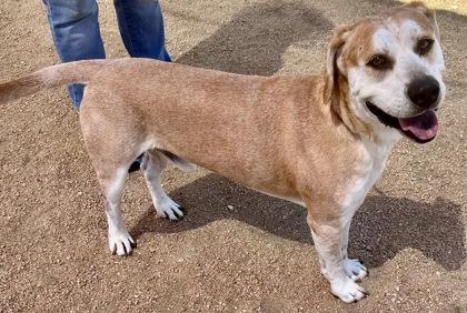 Sonny — thumbnail 3