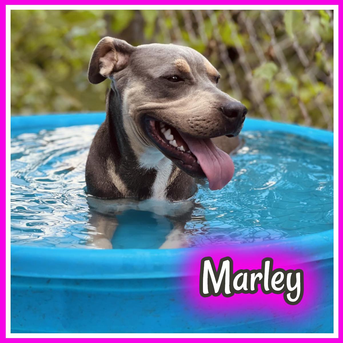 Marley
