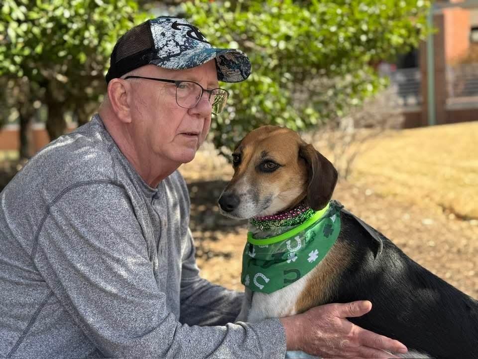 Enlarge Jess, a Adoptable mixed breed in Youngsville, NC image 5/6