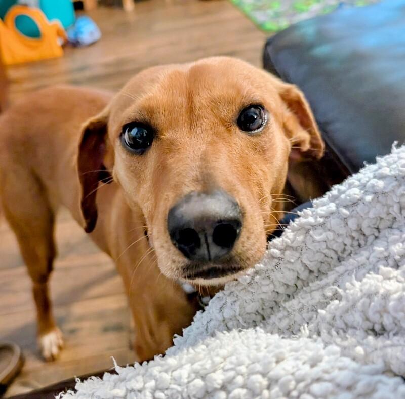 Kaykay Babay Petite Princess — thumbnail 4