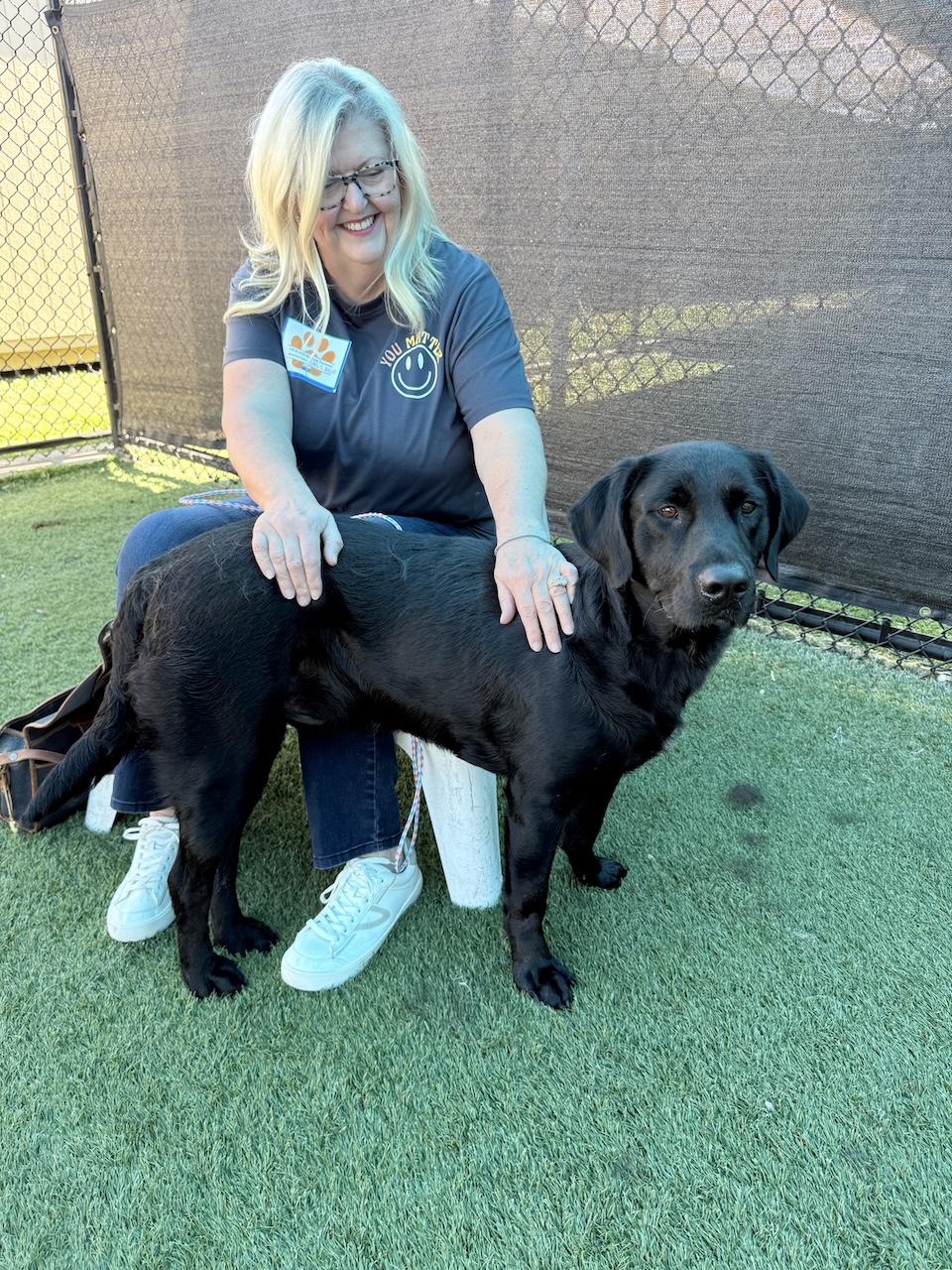 Maverick #17, a ADOPTABLE mixed breed in Killingworth, CT image 4/5