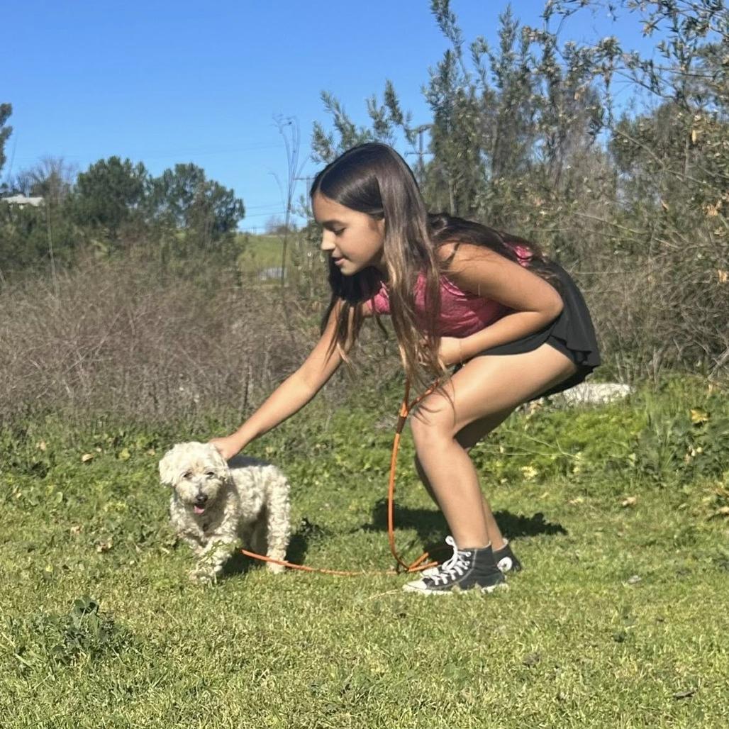 Roger — thumbnail 2